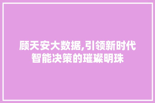 顾天安大数据,引领新时代智能决策的璀璨明珠