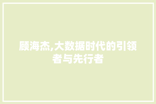 顾海杰,大数据时代的引领者与先行者