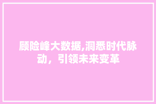 顾险峰大数据,洞悉时代脉动，引领未来变革