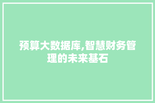 预算大数据库,智慧财务管理的未来基石