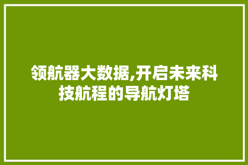 领航器大数据,开启未来科技航程的导航灯塔