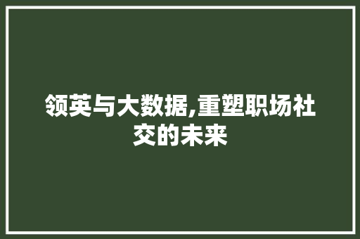 领英与大数据,重塑职场社交的未来