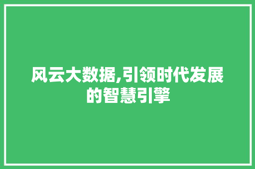 风云大数据,引领时代发展的智慧引擎