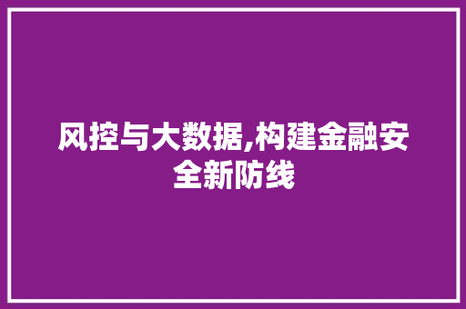 风控与大数据,构建金融安全新防线