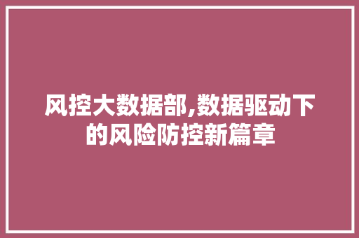 风控大数据部,数据驱动下的风险防控新篇章