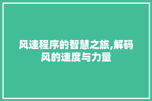 风速程序的智慧之旅,解码风的速度与力量