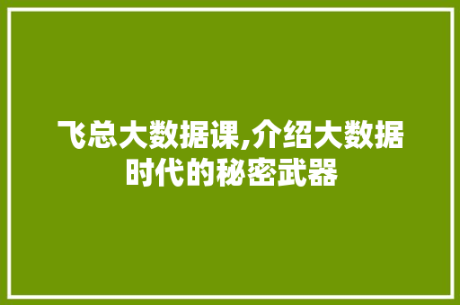 飞总大数据课,介绍大数据时代的秘密武器