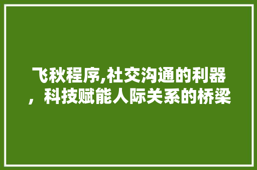飞秋程序,社交沟通的利器，科技赋能人际关系的桥梁