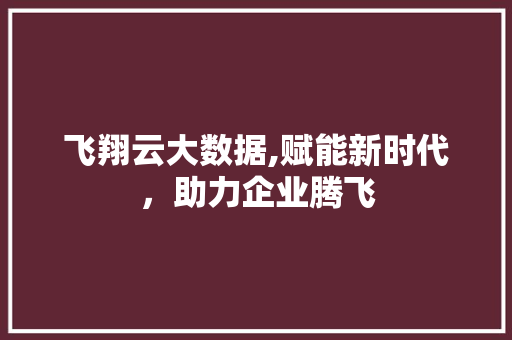飞翔云大数据,赋能新时代，助力企业腾飞