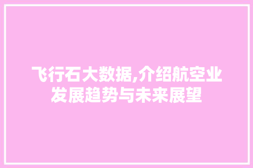 飞行石大数据,介绍航空业发展趋势与未来展望