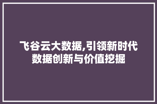 飞谷云大数据,引领新时代数据创新与价值挖掘