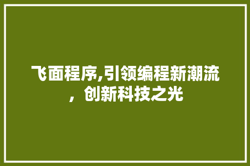 飞面程序,引领编程新潮流，创新科技之光
