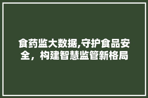 食药监大数据,守护食品安全，构建智慧监管新格局