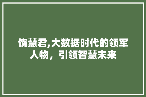 饶慧君,大数据时代的领军人物，引领智慧未来