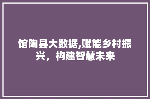 馆陶县大数据,赋能乡村振兴，构建智慧未来 神马SEO
