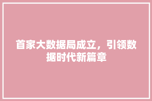 首家大数据局成立，引领数据时代新篇章