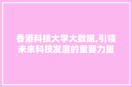 香港科技大学大数据,引领未来科技发展的重要力量 GoogleSEO