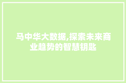 马中华大数据,探索未来商业趋势的智慧钥匙