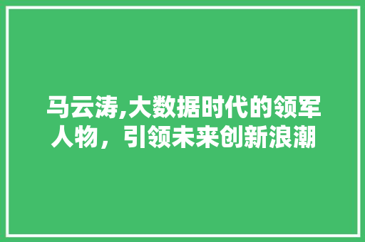 马云涛,大数据时代的领军人物，引领未来创新浪潮