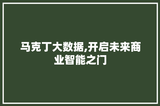 马克丁大数据,开启未来商业智能之门