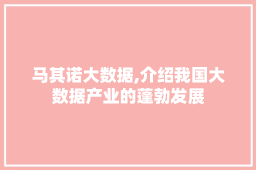 马其诺大数据,介绍我国大数据产业的蓬勃发展