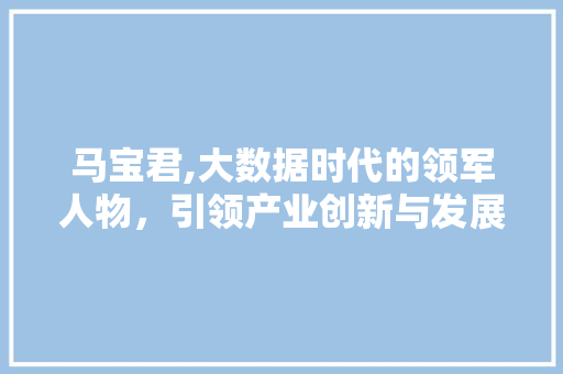马宝君,大数据时代的领军人物，引领产业创新与发展