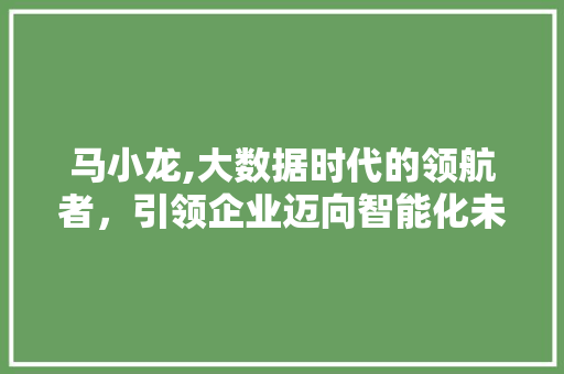 马小龙,大数据时代的领航者，引领企业迈向智能化未来