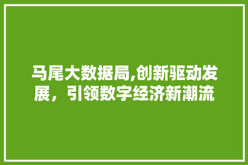 马尾大数据局,创新驱动发展，引领数字经济新潮流
