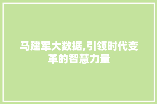 马建军大数据,引领时代变革的智慧力量