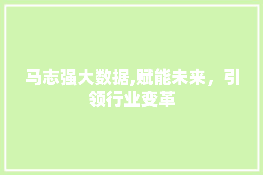马志强大数据,赋能未来，引领行业变革