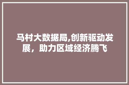 马村大数据局,创新驱动发展，助力区域经济腾飞