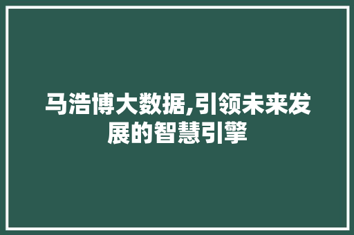 马浩博大数据,引领未来发展的智慧引擎