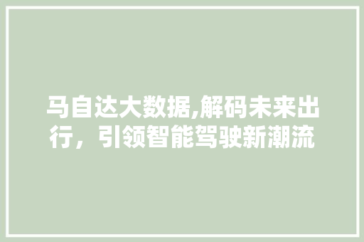 马自达大数据,解码未来出行，引领智能驾驶新潮流