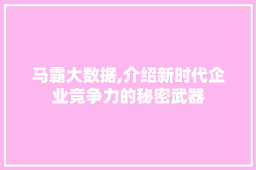 马霸大数据,介绍新时代企业竞争力的秘密武器