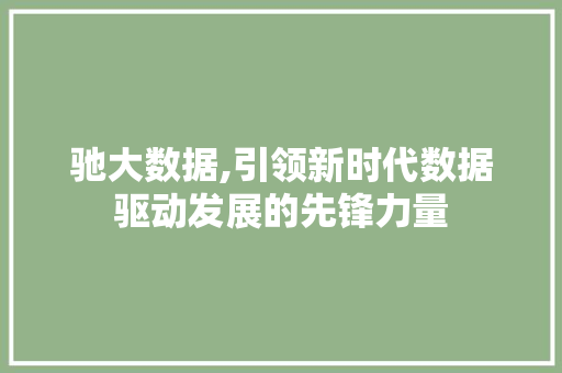 驰大数据,引领新时代数据驱动发展的先锋力量