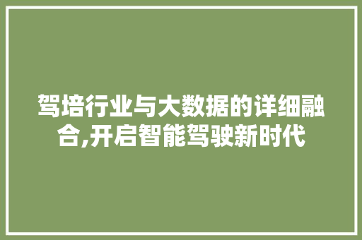驾培行业与大数据的详细融合,开启智能驾驶新时代 百度SEO