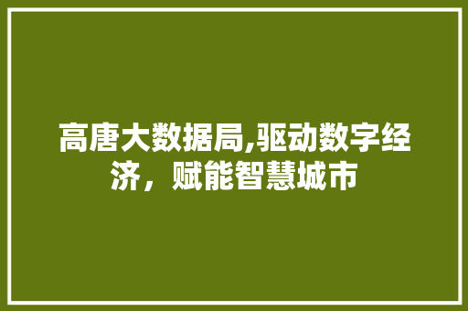 高唐大数据局,驱动数字经济，赋能智慧城市