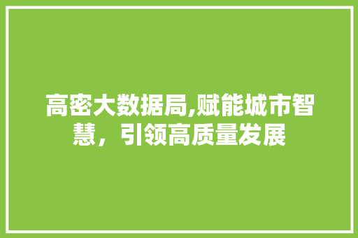 高密大数据局,赋能城市智慧，引领高质量发展