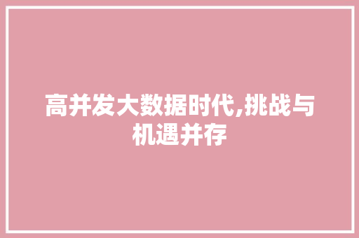 高并发大数据时代,挑战与机遇并存