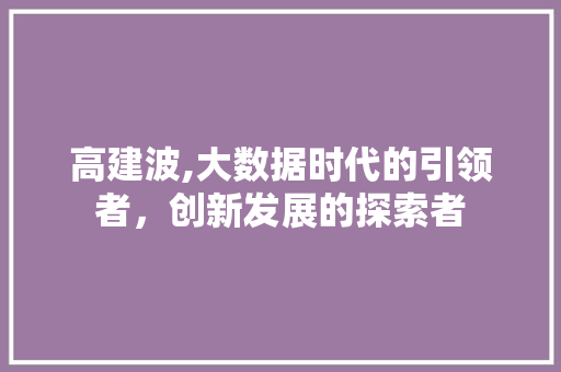 高建波,大数据时代的引领者，创新发展的探索者