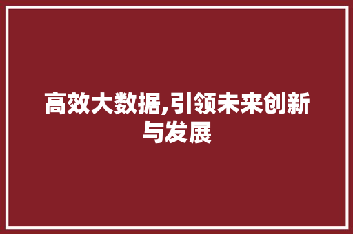 高效大数据,引领未来创新与发展