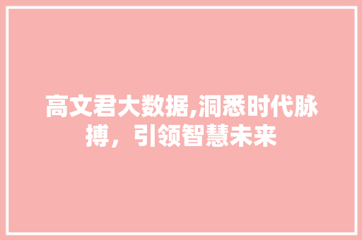 高文君大数据,洞悉时代脉搏，引领智慧未来