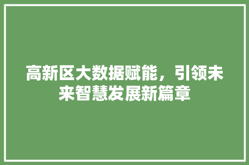高新区大数据赋能，引领未来智慧发展新篇章