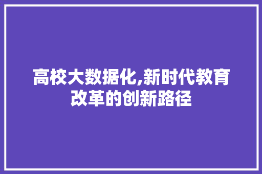 高校大数据化,新时代教育改革的创新路径