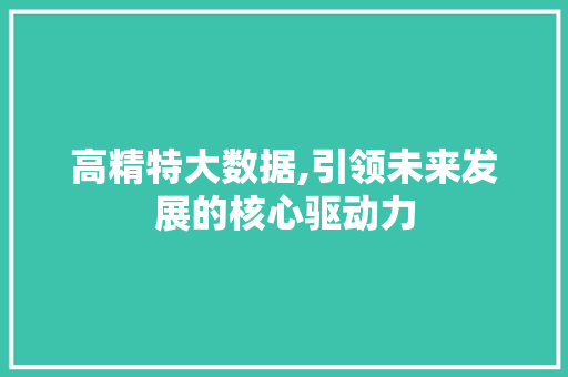 高精特大数据,引领未来发展的核心驱动力