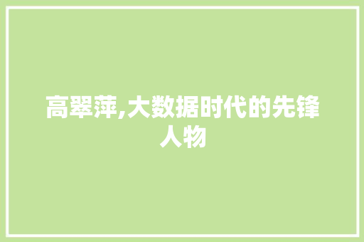 高翠萍,大数据时代的先锋人物