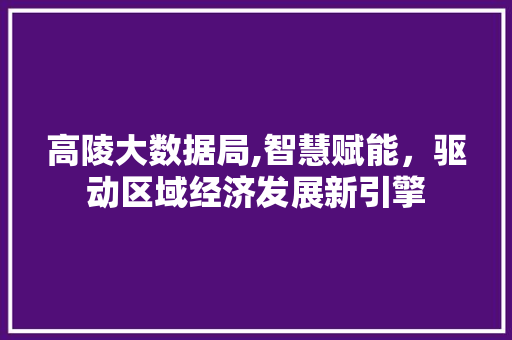 高陵大数据局,智慧赋能，驱动区域经济发展新引擎