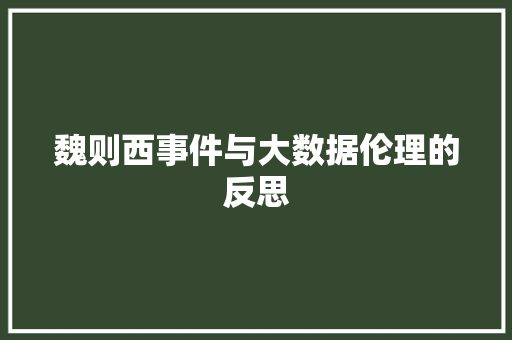 魏则西事件与大数据伦理的反思