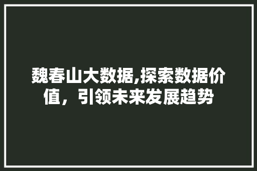 魏春山大数据,探索数据价值，引领未来发展趋势