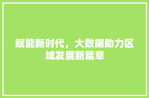 赋能新时代，大数据助力区域发展新篇章